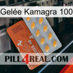 Gelée Kamagra 100 43